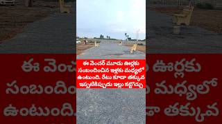 Vijayawada near Best open plots 9247926348 beside houses of Bandar Highway kankipadu openplots ap [upl. by Eehc395]