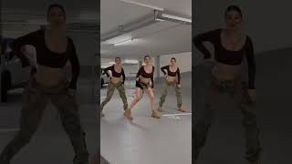 Triplets Viral Dance Challenge chrissipatakas viral dance 2024 dancechallenge dancelessons [upl. by Eixor596]