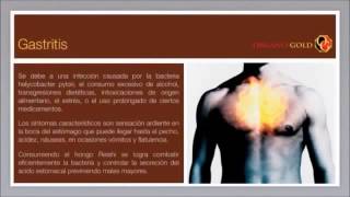 Beneficios del Ganoderma Lucidum de Organo Gold [upl. by Ecinrahs524]