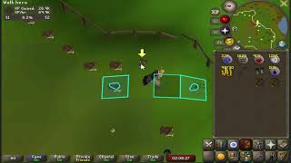 Efficient Spotted Kebbit Hunting 75k Hunter xphr  OSRS [upl. by Eile273]