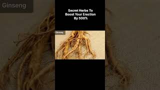 Top 5 Herbs to Boost Erection Naturally 🌿  Fix ED Fast  Say Goodbye to Erectile Dysfunction [upl. by Anirehs649]