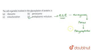 The cell organelle involved in the glycosylation of proteins is [upl. by Adnak]