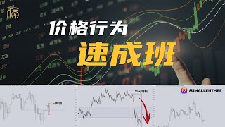 價格行為 Price Action Trading 完整版教學 [upl. by Clarance]