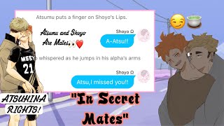 In Secret Mates AtsuHina are secretly matesOmegaverse AUHaikyu Texts [upl. by Hastings]