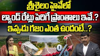 LIVE Srisailam Highway Real Estate Boom  Trending Wild Wolf TV Bhumi [upl. by Elehcir206]