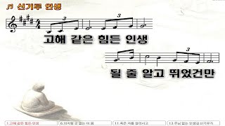 15분 연속 듣기🎶 신기루 인생  가사 lyrics [upl. by Nwahsor]