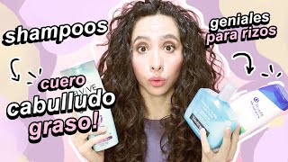 LOS MEJORES SHAMPOOS PARA CABELLO GRASO DEL SÚPER [upl. by Gitlow]