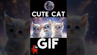 Cute Cat Gif [upl. by Jewel]