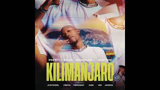 kilimanjaro official music video [upl. by Euqinobe]