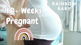 40 Weeks Pregnant  Rainbow Baby  Planned VBAC  Jessica April Pellegrini [upl. by Sal]