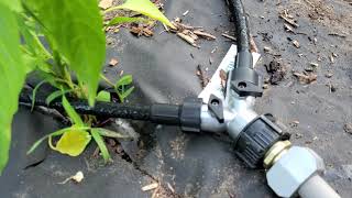 How to setup soaker hose watering for garden plants [upl. by Heuser471]