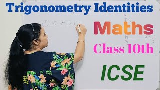 Trignometric Identities chapter no 19 icse board EP 1 Punjabi Language icse cbse pseb [upl. by Tamarra]