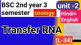 Bsc 2nd year 3semster zoology topic transfer rna [upl. by Buhler]