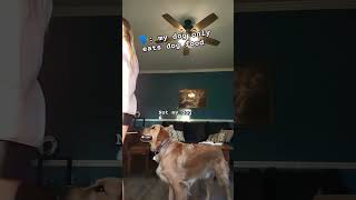 Not my doggie fypシ゚viral goldenretreiver doglover viralshort like subscribe [upl. by Telrahc]