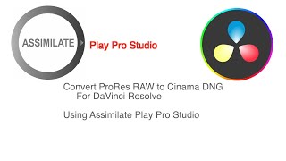 The Best Way to Convert ProRes RAW to Cinama DMG for DaVinci Resolve [upl. by Onateag]