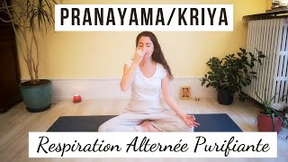 PRANAYAMA  Nadi Shodhana  Respiration alternée purificatrice  10 minutes [upl. by Arnulfo]