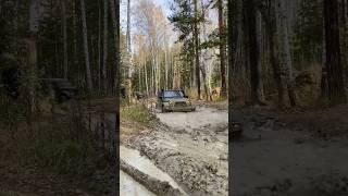 Jeep Wrangler легкоплавкий луже jeepwranglerjeepwrangleroffroadоффроадлесбездорожье [upl. by Nawj591]