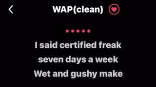 WAP Clean lyrics by Cardi B ft Megan theeKaraoke Version [upl. by Notsob]