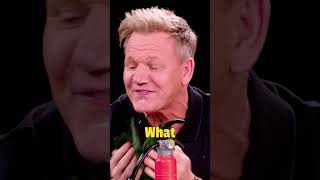 3 of the CRAZIEST moments in Hot Ones history  Bobby Lee SteveO Gordon Ramsay 😂 [upl. by Tremml]