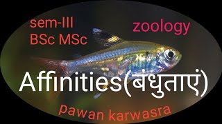 Affinities of hemichordata amp echinodermata cephalochordata and chordata । BSc I MSc । [upl. by Dazraf]