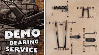 Specialized Demo Full Frame Bearing Change  Dreambuild Service [upl. by Charisse137]