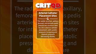 Arterial Catheter Placement Sites [upl. by Kimber]