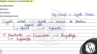 Zygotic meiosis is characteristic of [upl. by Cesare]