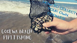 Goolwa Beach Pipi Fishing How to Collect your own Cockles [upl. by Elleinet]