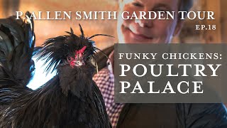 Wacky Crested Poultry Breeds Celebrity Lookalike  P Allen Smith [upl. by Howe]