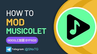 Learning to mod Musicolet Music Player Pro Unlock  Bypass Google加固 pairip [upl. by Nnaeiluj]