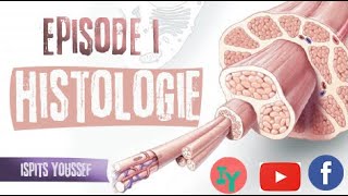 Episode 1HistologieLe tissu épithélial [upl. by Nerat]