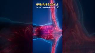 Earth vs Human Body ☠️🤯 Shorts space biology universe viralshorts [upl. by Raasch817]