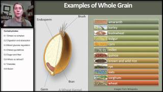 56 Carbohydrates Whole vs Refined [upl. by Noet]