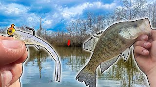 CRAPPIE Fishing with NEW LURE  BEST CRAPPIE CATCH AND COOK RECIPE EVER [upl. by Dante]