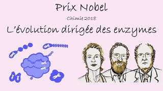 Prix Nobel  L’évolution dirigée des enzymes et le phage display Chimie 2018 [upl. by Gmur816]