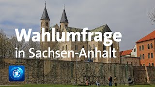 SachsenAnhalt Umfrage vor der Landtagswahl [upl. by Aholah]