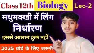 class 12th biology मधुमक्खी में निर्धारण हर साल ऐसा ही प्रश्न पूछा जाता है पेपर में देख लो [upl. by Broderic]