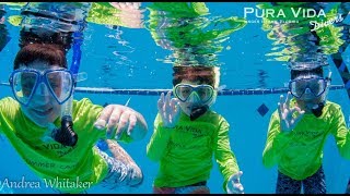 Snorkel Summer Camp with Pura Vida Divers July Session [upl. by Diella78]