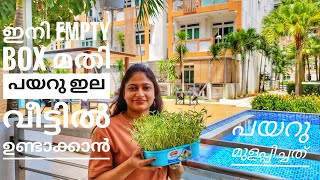 Cherupayar ila thoran  Payarila thoran  Mung bean leaf  Healthy home made leaf  Malayalam Vlog 7 [upl. by Ellehcar]