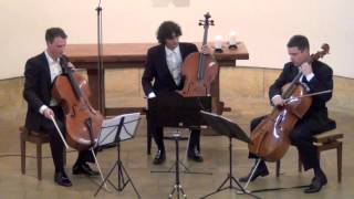 Haydn Divertimento D Major on 3 Celli live in concert [upl. by Noyerb]