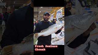 Fresh Fish Seabass  Shark  Shorts [upl. by Ailema]