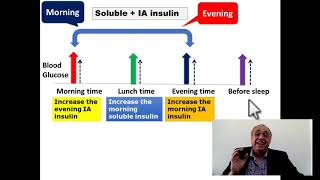 Diabetes Mellitus Adjustment of Insulin Dose cme internalmedicine usmle محاضراتباطنة [upl. by Hanser]