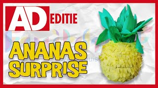 Zo maak je een mooie ananas surprise  Algemeen Dagblad Sinterklaas Editie [upl. by Hickey45]