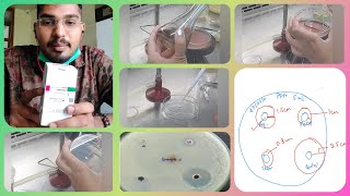 Antimicrobial activity of PlantsClearing zoneDisc and well methodMedicinal plantsMicrobiology [upl. by Bow]