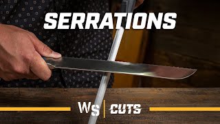 How to Sharpen a Serrated Knife  Use a Honing Steel or Ceramic Hone [upl. by Thorncombe]