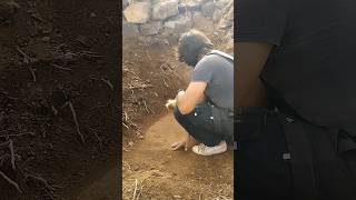 digging old collapsed house treasure hunt offgrid bushcraft stone [upl. by Kellina818]