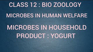 Microbes in Household product  Yogurt  Microbes in human welfare  Class 12  Tamil [upl. by Sibbie]