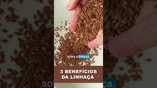 3 BENEFÍCIOS DA LINHAÇA que você vai ADORAR SABER [upl. by Kassandra733]