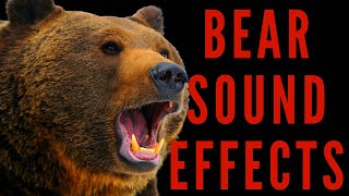 BEAR SOUND EFFECTS  Bear Roaring and Growling Sound [upl. by Ahsirkal]