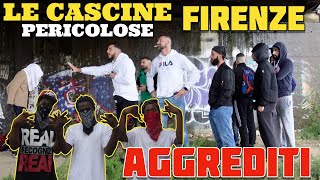 Aggrediti alle Cascine di Firenze [upl. by Eitsirhc258]